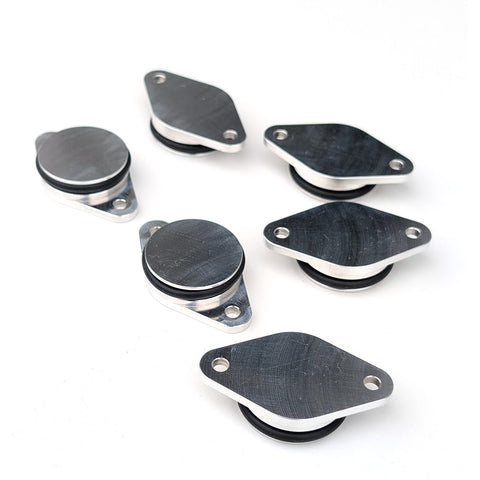 BMW M57 335D/X5D Swirl Flap Delete Kit
